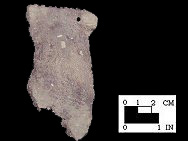 Keyser rim sherd with perforated node/lug from the Hughes site, 18MO1-SI Cat.# 392275-Courtesy of the Smithsonian Institution, Museum of Natural History, Department of Anthropology.